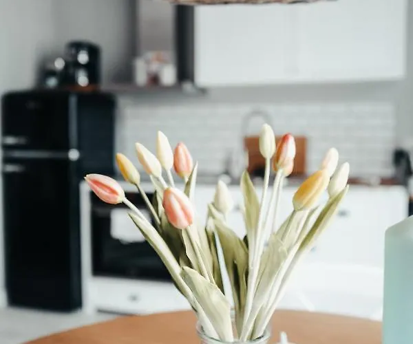 Beachbude Timmendorfer Strand
